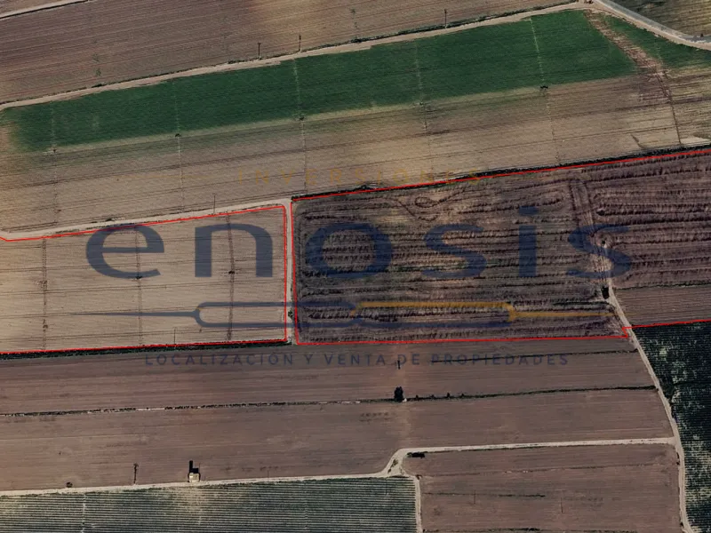 Amplio Terreno Rústico de 28.800m2 en Los Martínez del Puerto